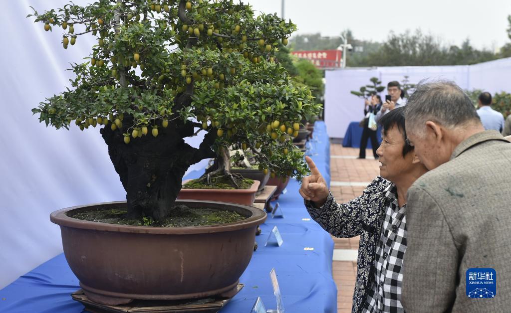 ag游玩官网